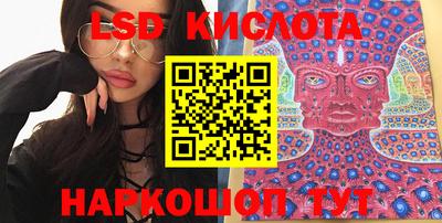 гидра Будённовск