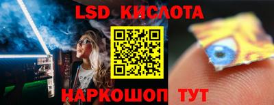 гидра Будённовск