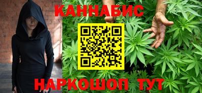 гидра Будённовск