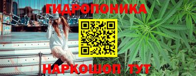 гидра Будённовск