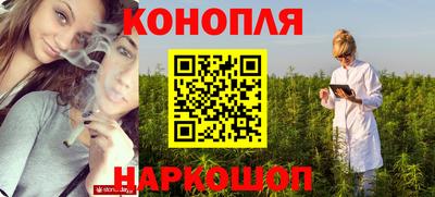 гидра Будённовск