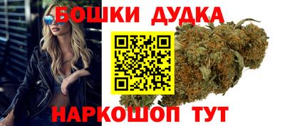 гидра Будённовск