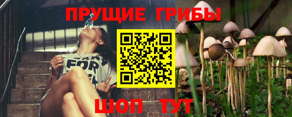 Галлюциногенные грибы MAGIC MUSHROOMS Можга