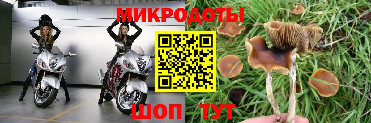 Галлюциногенные грибы прущие грибы  Вход с VPN  продажа наркотиков  Можга 